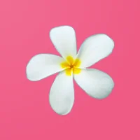 hello! Fiji Dating
